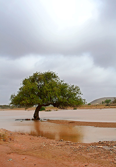 صور من ابداع اعضاء عمان فوتو