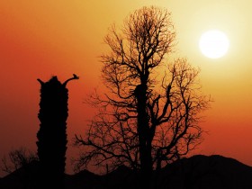 صور من ابداع اعضاء عمان فوتو