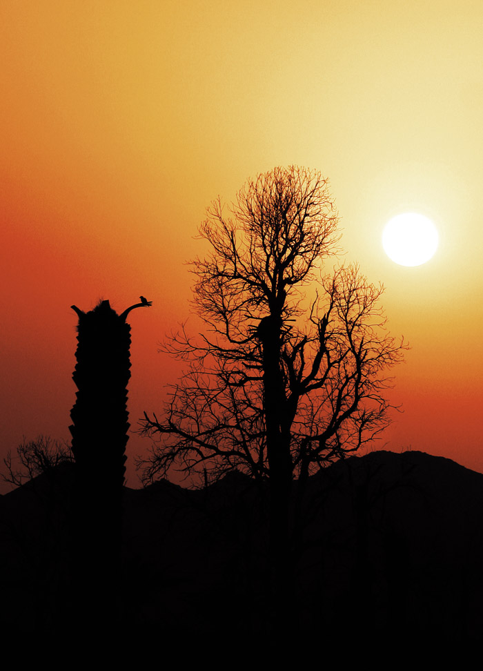 صور من ابداع اعضاء عمان فوتو