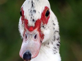 صور منوعة من الإنترنت