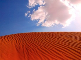 صور من ابداع اعضاء عمان فوتو