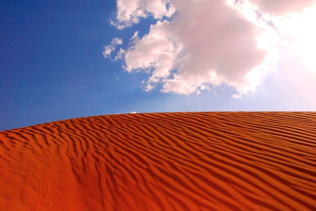 صور من ابداع اعضاء عمان فوتو