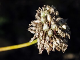 صور منوعة من الإنترنت