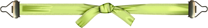 BVS_naturepower_buckledribbon03