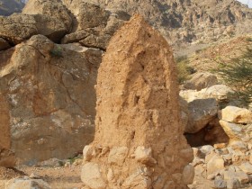 طبيعة أ