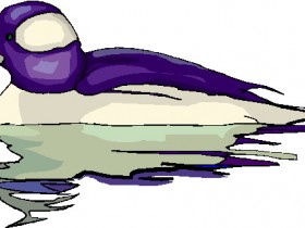 BIRD943_1_