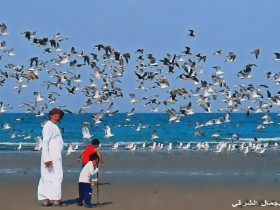 صور من ابداع اعضاء عمان فوتو