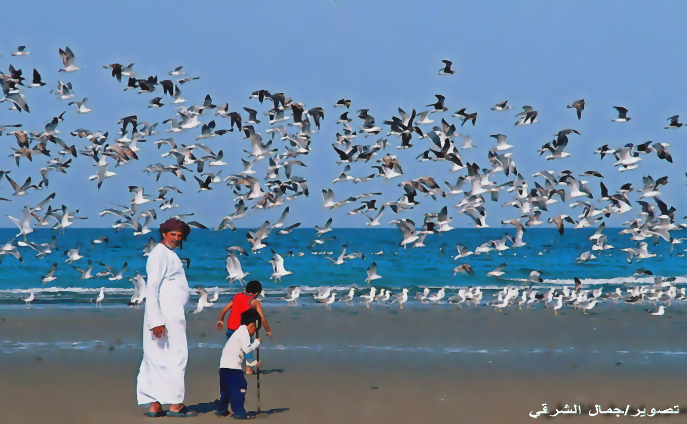 صور من ابداع اعضاء عمان فوتو