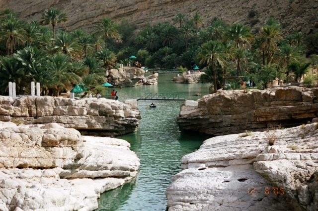 صور من ابداع اعضاء عمان فوتو