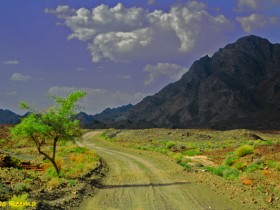 صور من ابداع اعضاء عمان فوتو