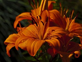 Colour_My_World_by_Nikonoclaste