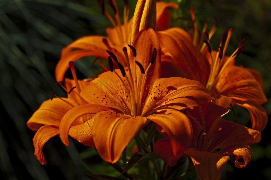 Colour_My_World_by_Nikonoclaste