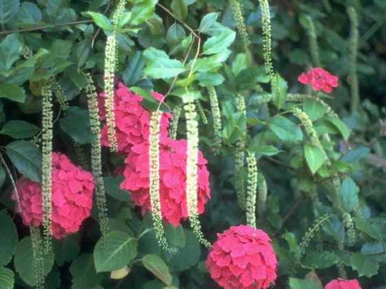 PTBL0104