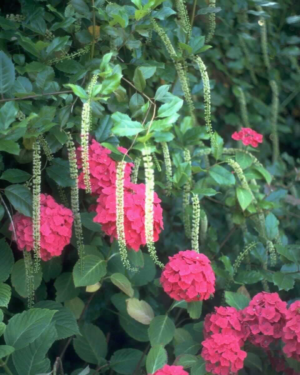 PTBL0104