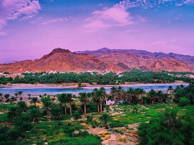 صور من ابداع اعضاء عمان فوتو