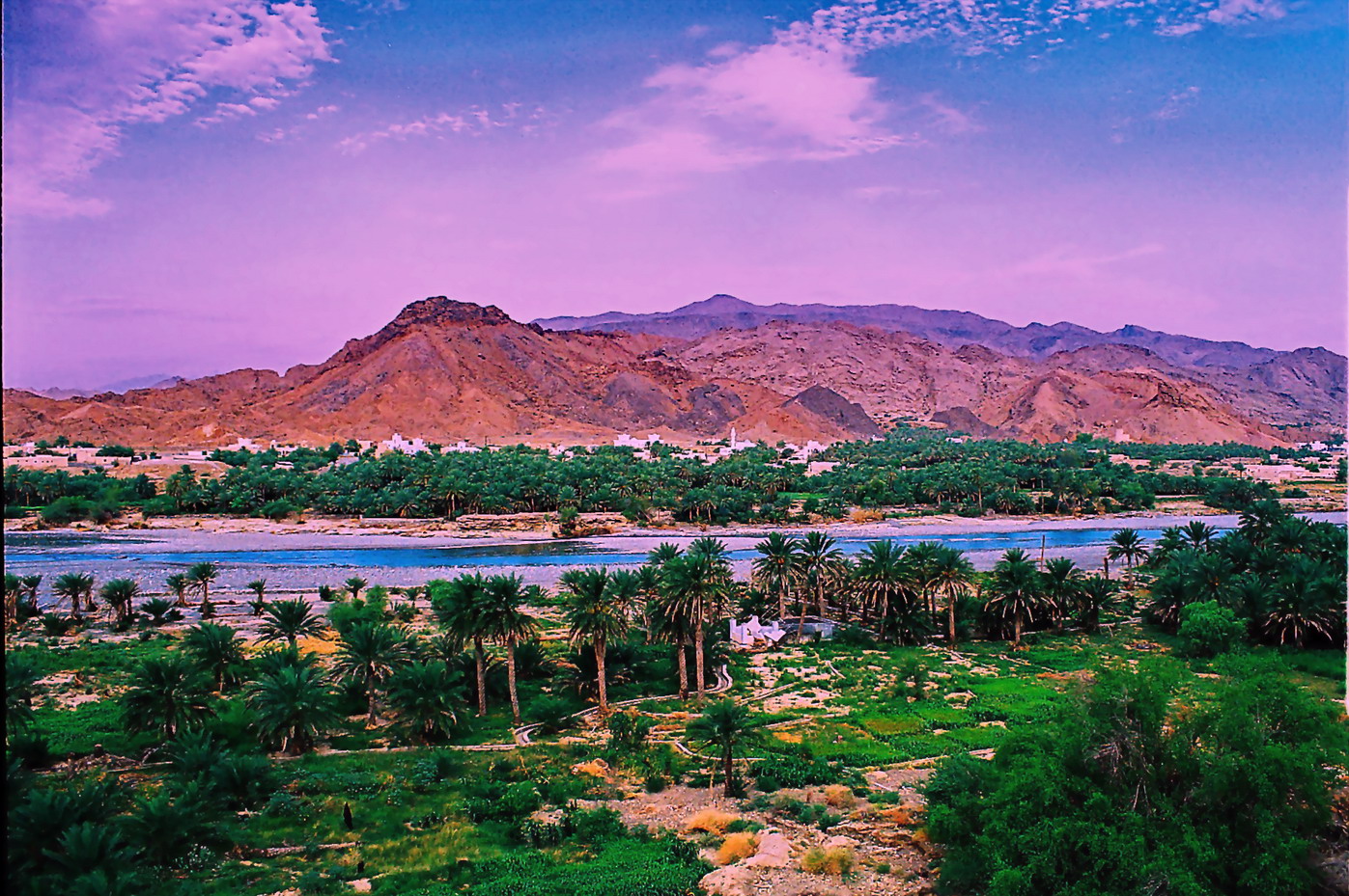 صور من ابداع اعضاء عمان فوتو
