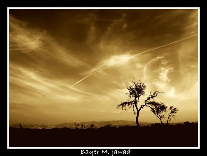 صور من ابداع اعضاء عمان فوتو