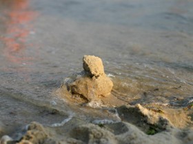 صور منوعة من الإنترنت
