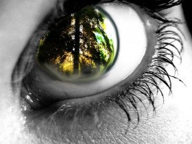 Nature_s_Eye_by_GothOfImladris