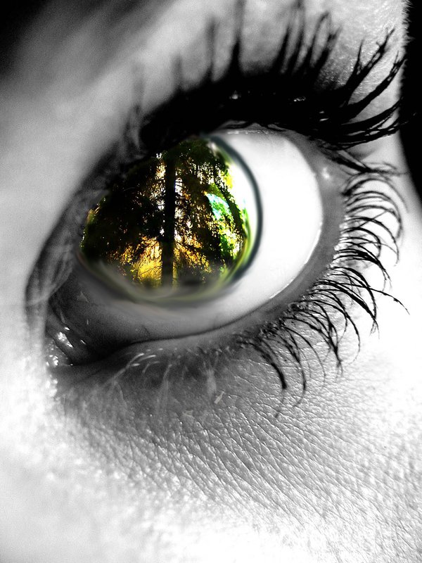 Nature_s_Eye_by_GothOfImladris