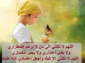 IMG_208426781129997