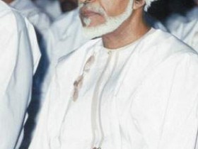 119_11172_1100801486