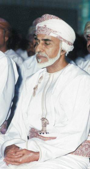 119_11172_1100801486