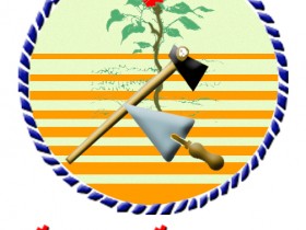 Comunety_Dev_