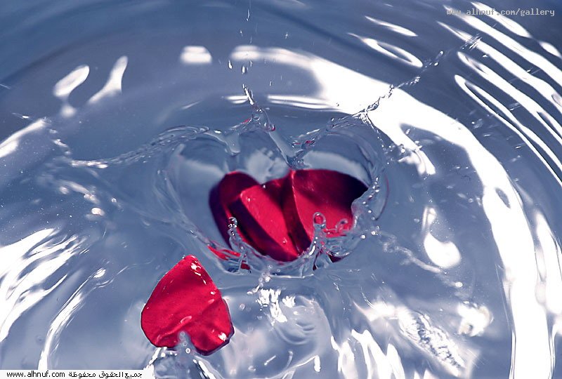 nice_pic_design_photo_44_