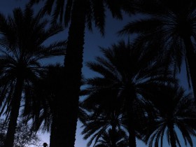 صور من ابداع اعضاء عمان فوتو