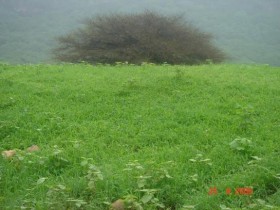 صلالة وبس