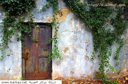 nice_pic_design_photo_60_1_