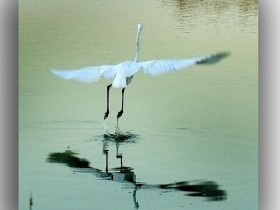 صور من ابداع اعضاء عمان فوتو