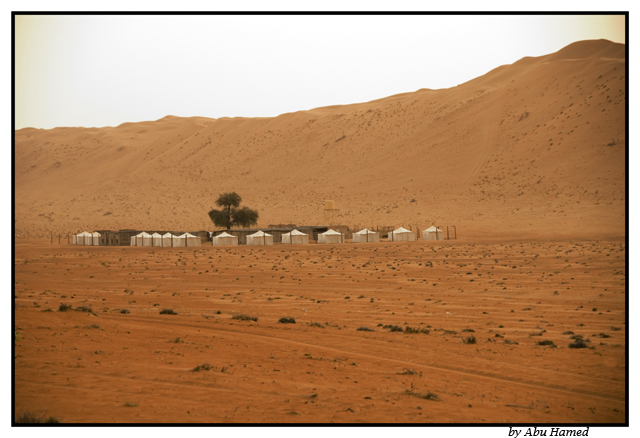 صور من ابداع اعضاء عمان فوتو