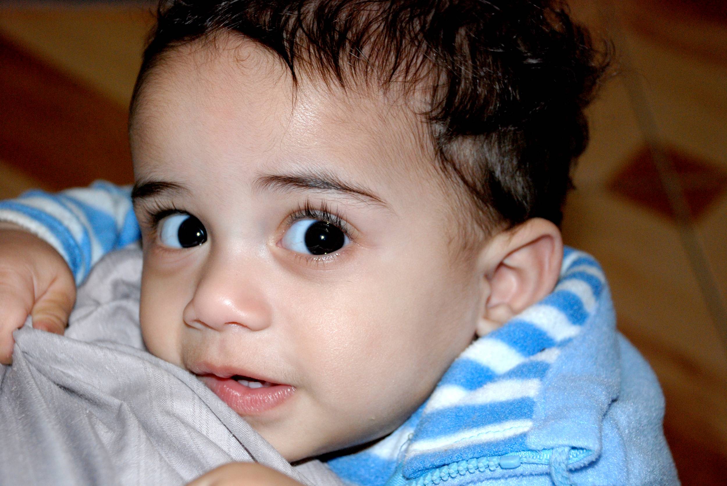 صور من ابداع اعضاء عمان فوتو