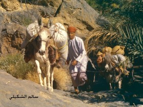 صور من ابداع اعضاء عمان فوتو