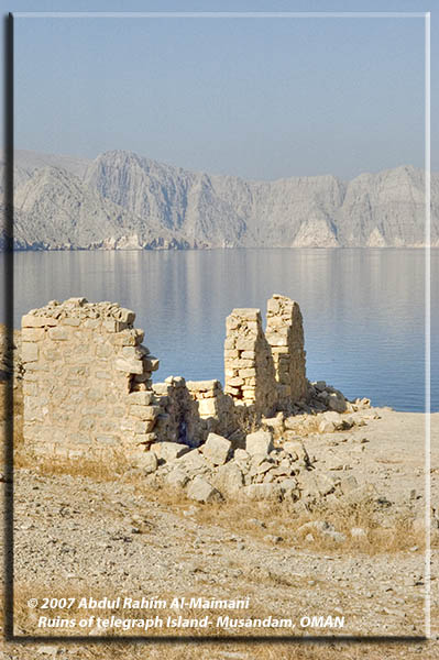 صور من ابداع اعضاء عمان فوتو