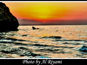 صور من ابداع اعضاء عمان فوتو
