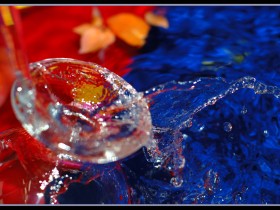 صور من ابداع اعضاء عمان فوتو