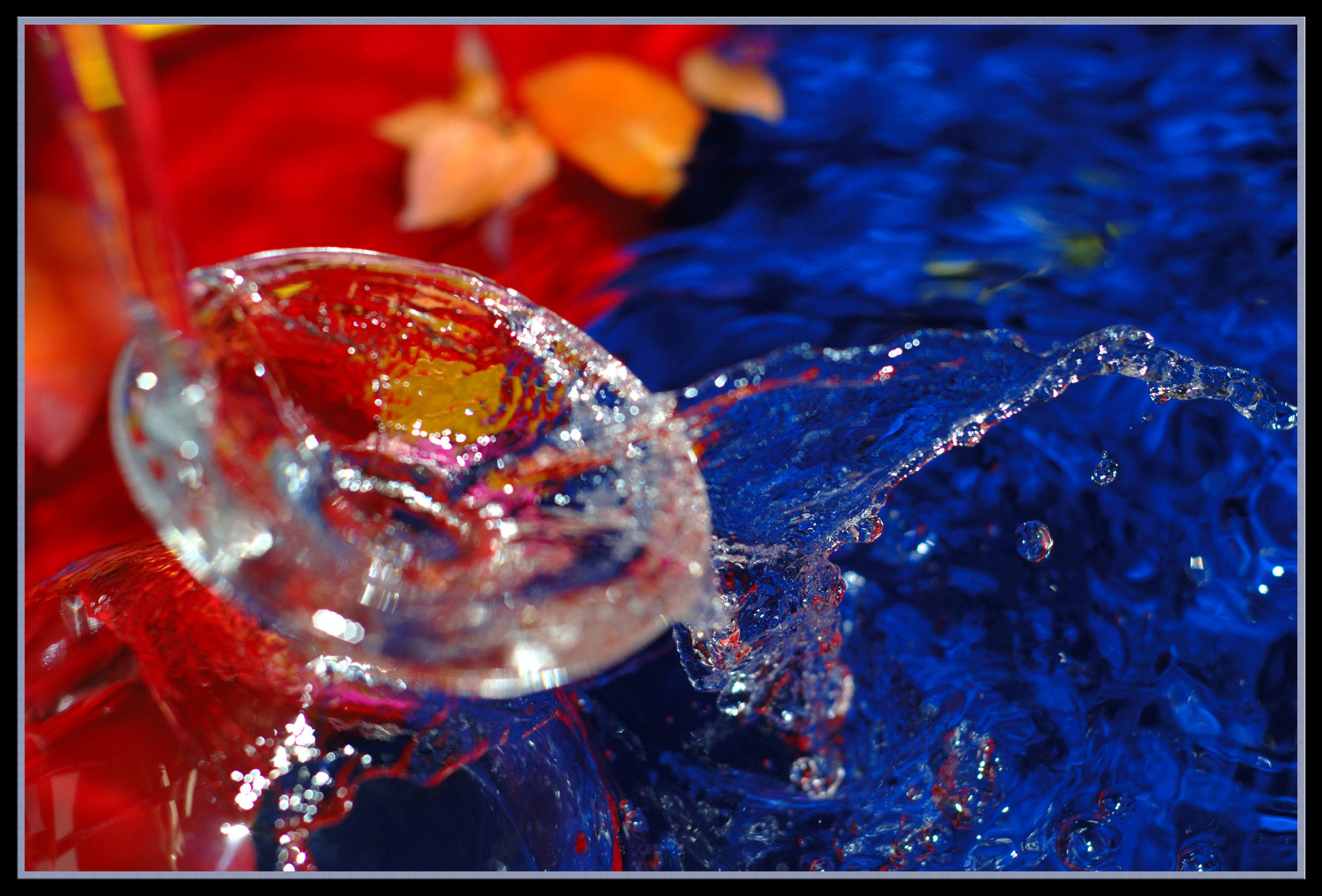 صور من ابداع اعضاء عمان فوتو