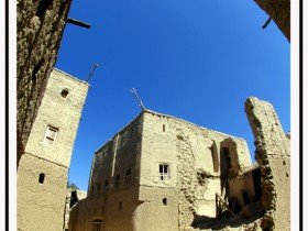صور من ابداع اعضاء عمان فوتو