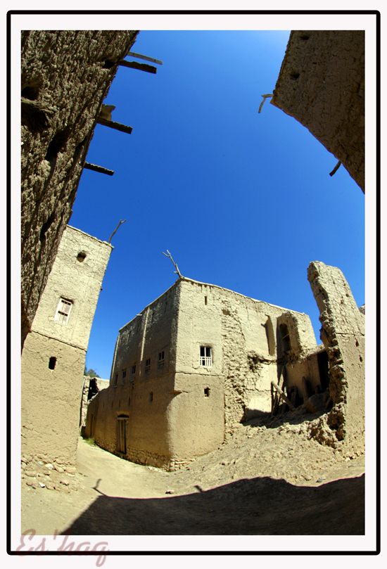 صور من ابداع اعضاء عمان فوتو