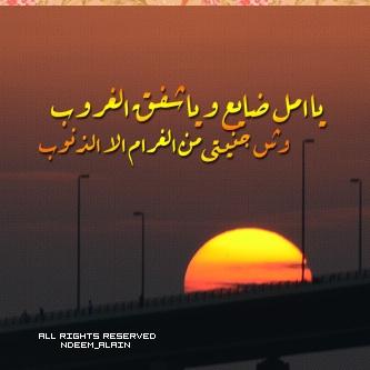 ياأمل ضايع