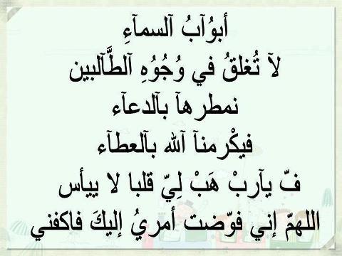 538228_10151569190522517_792808408_n