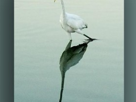 صور من ابداع اعضاء عمان فوتو