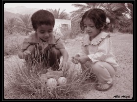 صور من ابداع اعضاء عمان فوتو