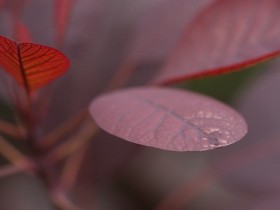 صور منوعة من الإنترنت
