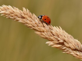 صور منوعة من الإنترنت