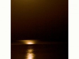 صور من ابداع اعضاء عمان فوتو