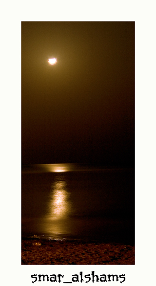 صور من ابداع اعضاء عمان فوتو